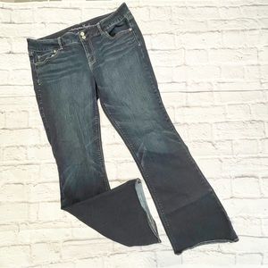 American Eagle denim flare artist jeans 18 Long Tall